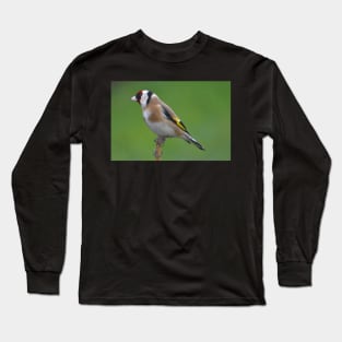 Goldfinch Long Sleeve T-Shirt